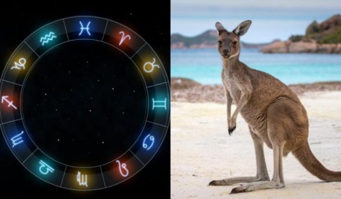 ����������� �� ������������ �����