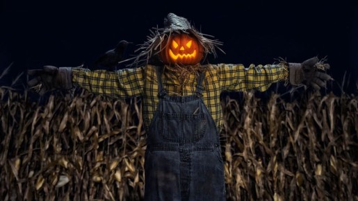 ��� ������� �������� ��������� ������ � ������� �������������� �������