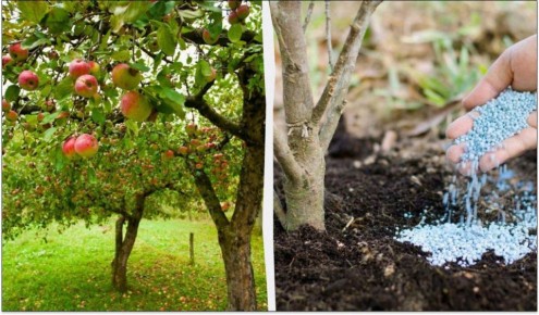 ������ ������� ���������: ��� ����������� ������ � ����