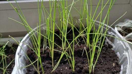 ��� ������ ����� ������������� ����� � ����������� �������� ����