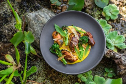 ��������� �?: ���������� ������� �� ����