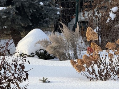 ������ ������������ ���������: ������� ��������� ����������