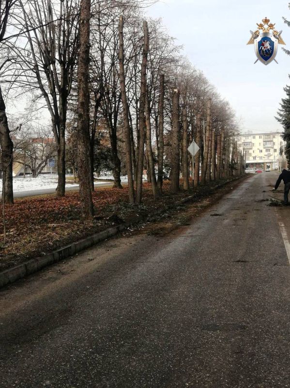 � �������� ���������� ��������� ���� �� ����� ���������� ����������� ��� � ����� � ���������� �������� ��������