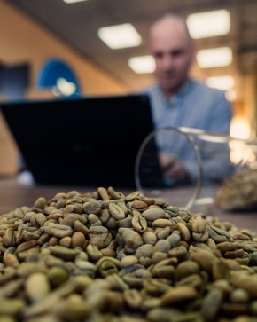Компания Чебоко: как зеленый кофе становится основой успешного бизнеса