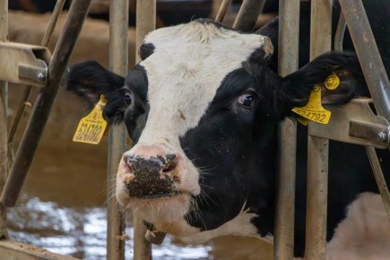 ������������ ����� � ������� � ���������-�������� ������� �� 9%