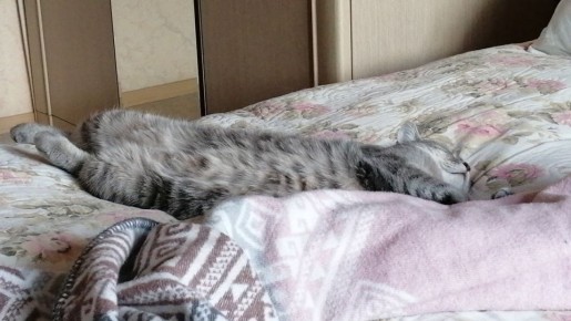 ���������: ��� �������� ����� �������� ������ ����� ������