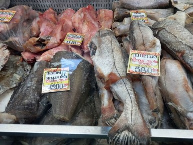 ����������� ����: ��� ���������� � ������ �� ���� ����� ����������