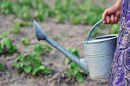 ��� �������� ������ �����: ��������� ������ � ������ ��� ������ � ������