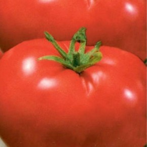 ����� ��� ������: ���������� ������ � �������� ����� ��� ��������� ������