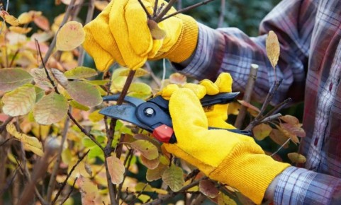 ������� ������� ��� ��������: ����� �������� � ��� �� �����������