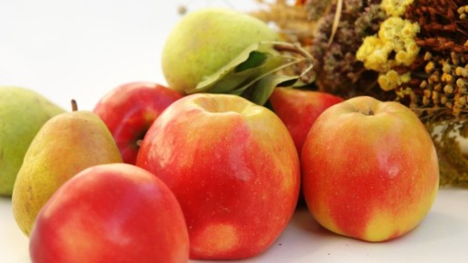 ���� ������ ����� �����: ��� �������� ����� ������� ������ �� �������� � ��������