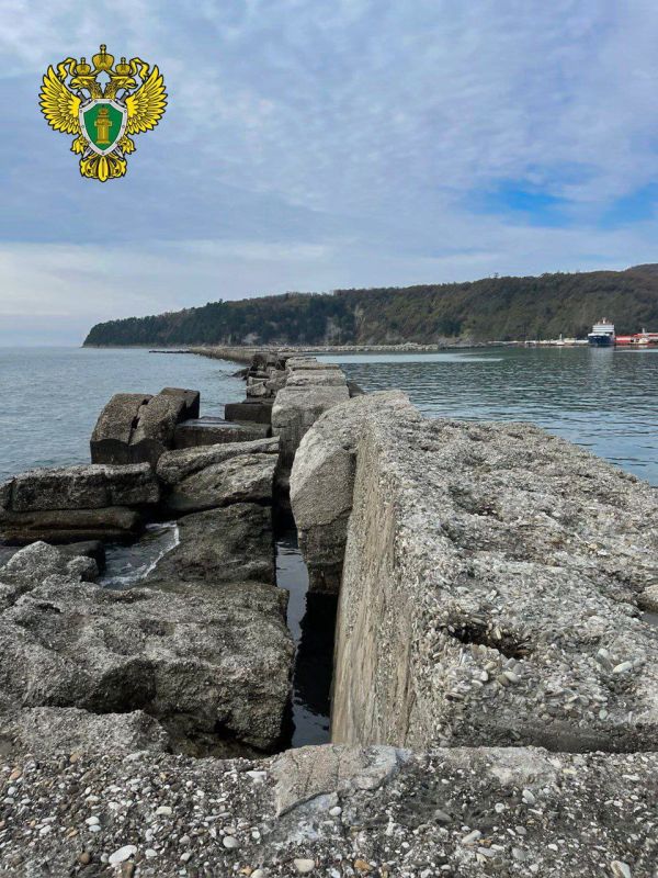 ����������� ������������ ������������ ������� ��������� ��� ������������ ���������������� ����������, ����������� � ����������� �������������