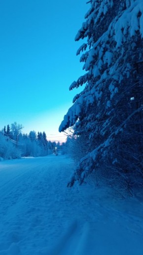 ����� ����� 65: ��������� ������ � ���� � ������ ����