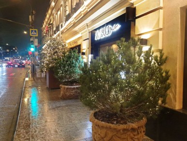 ����� ����������� �������� Avero mio �� ��������: ���� ��� ����� �� 14,400 ������