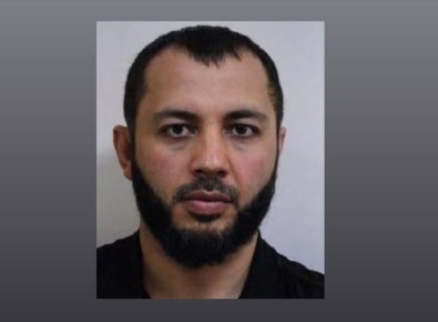 ��������, ������!. ������������ ���������� ������� ���� ������ �������껠������������� ������ ������� ���������, 1988 ���� ��������