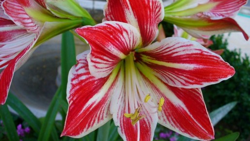 ��� ��������� �� �����������: ������� ������������� ������