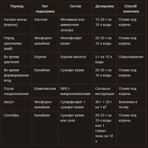 Клубничный сезон: как ухаживать за ягодами от весны до зимы