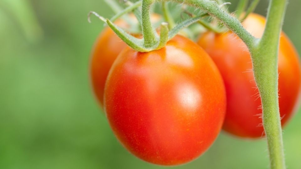 ��� �������� ������ � ����������� ������� �� �������: ������� �������