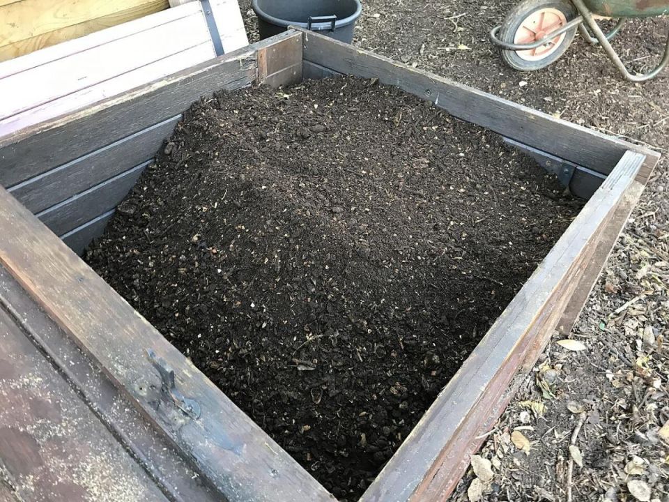 ��� ��������� ��������������: �������� ������ � ������