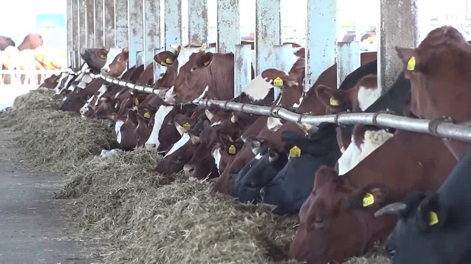 Казбек Коков обсудил с министром сельского хозяйства республики Хасаном Сижажевым предварительные итоги работы АПК за 2025 год