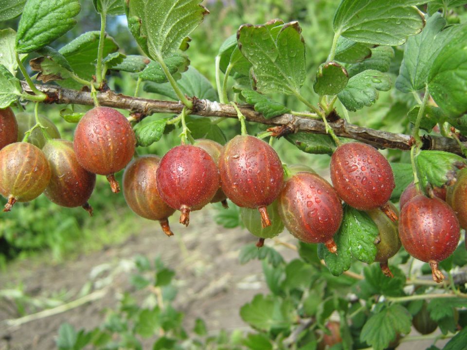 ���������: ��� ��������� �������� �������� � ����� ����