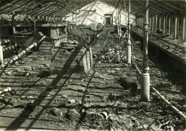 История Ботанического сада: как растения спасали город в блокаду