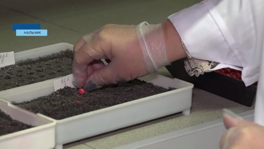 �� �� ������ �������� �����