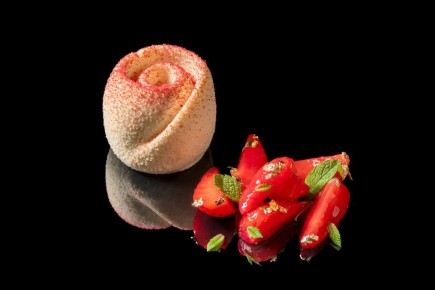 ������ �����������: ������ ���� � ���������