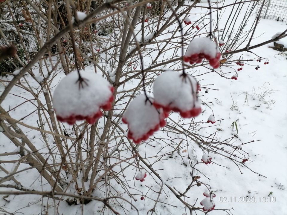 ����������� ������ ���������: �� ����� �� ������ ������