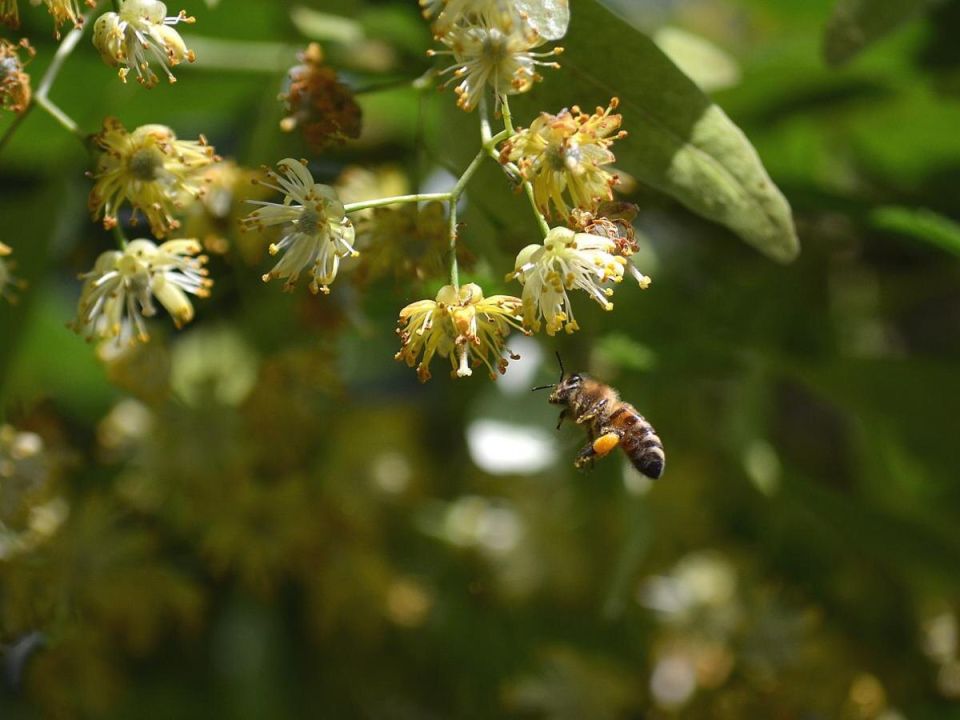 ���� � ����� ����: ������ �� ������� � ����� ��� ������