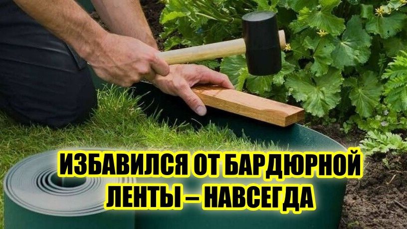 ����� �� ��������� �����: ���������� ���� ������������ �������