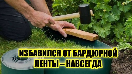 ����� �� ��������� �����: ���������� ���� ������������ �������