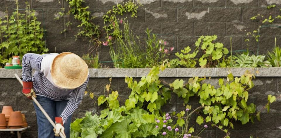 ��������� ����: ��� �������� �������� ������ � ����