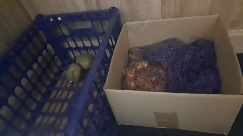 ��� ��������� ����� ������� �� �����: ������ �������� ����������