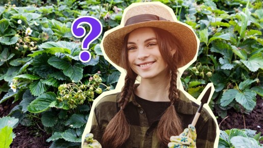 �������� ��� ���, ���� ��������� ��������: ������ ���������� �������