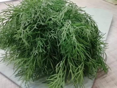 ��� ��������� ���������� �����: �������� ������� ����� ����� ����� ������� ���