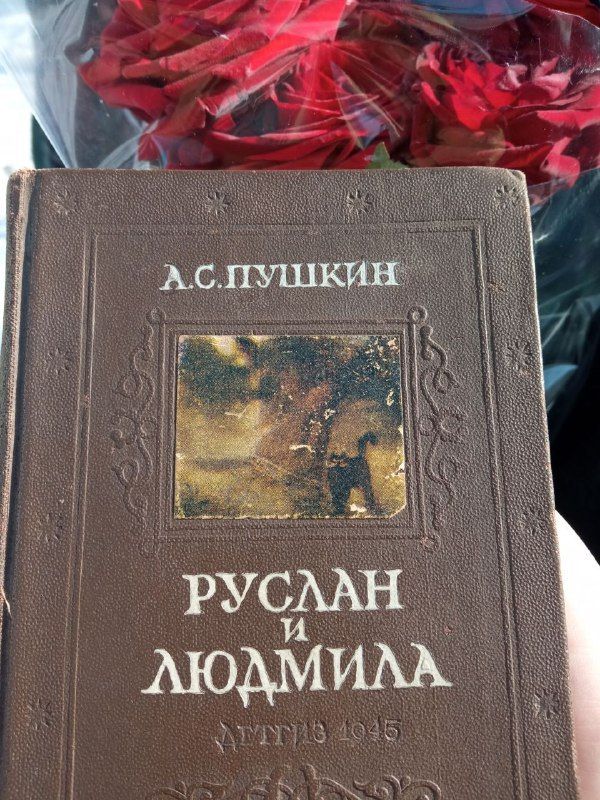 � �������� ������ ���� ������ �������