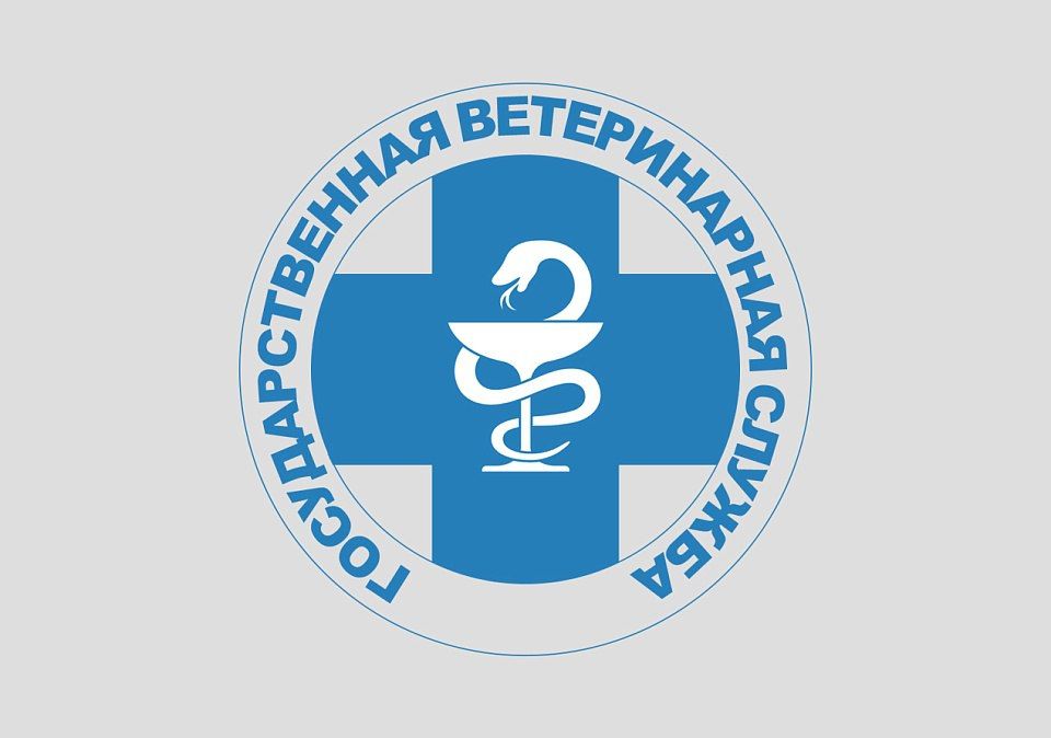 ���������� ����������� ��� �������� � ���������� �����