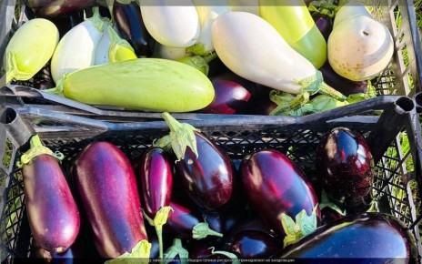 ��������� ��� ������������� �������: ������ ����� ��� ������� ������