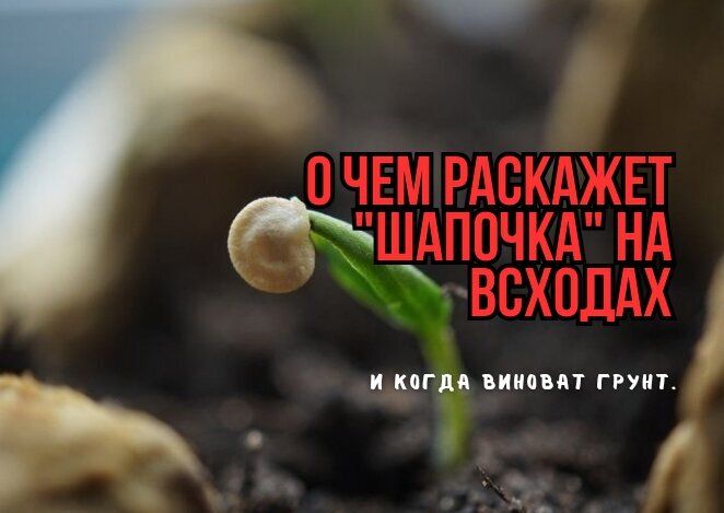 ������ ������� � "�������": ������ ������� � ������ ��� ���������