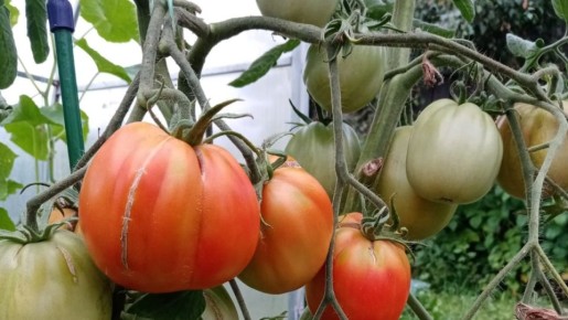 ���������� ������, ������� �������� ������ ��������� � ��� ����