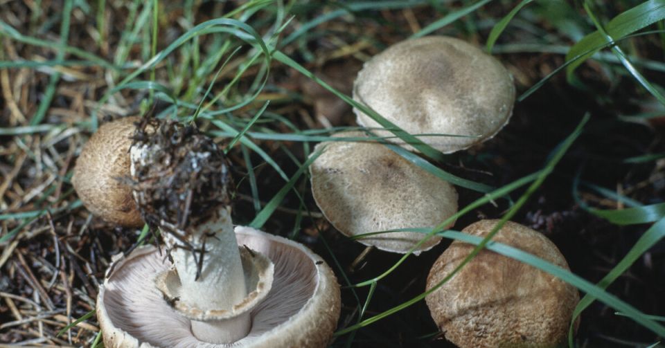 �����-�������: ��� �� ��������� ��� ����� � ��� ����� ����� �� ���� ���������