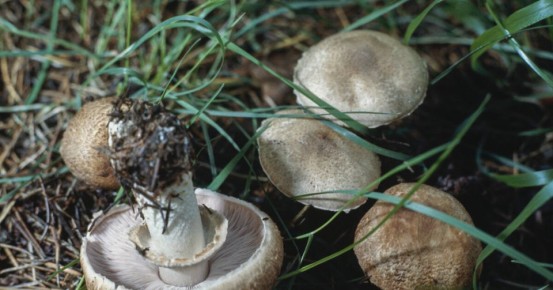 �����-�������: ��� �� ��������� ��� ����� � ��� ����� ����� �� ���� ���������