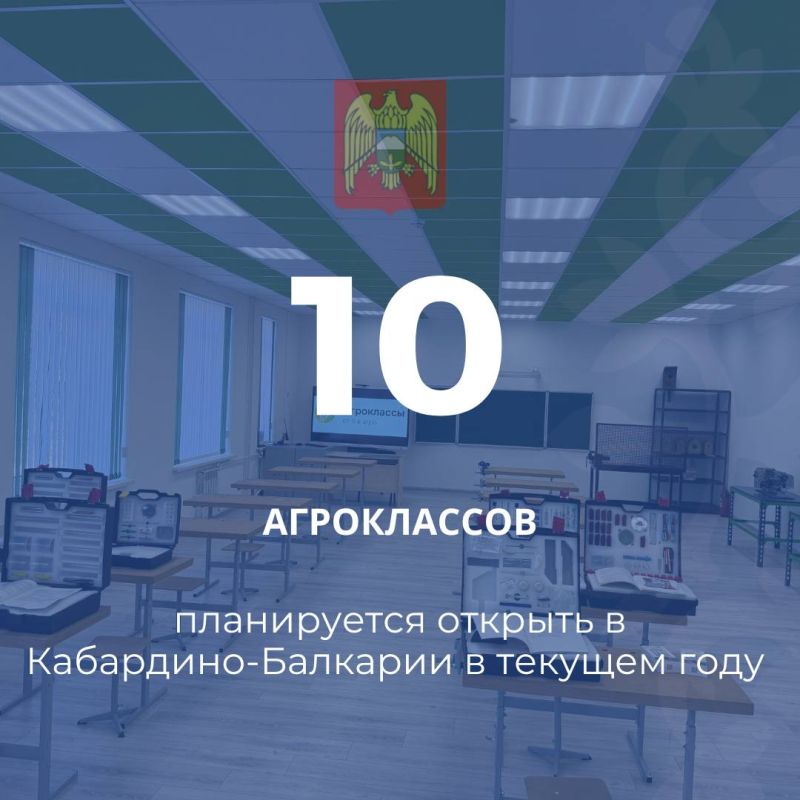 В настоящее время формируется список школ, на базе которых школьники будут углубленно изучать физику, химию, биологию и математику