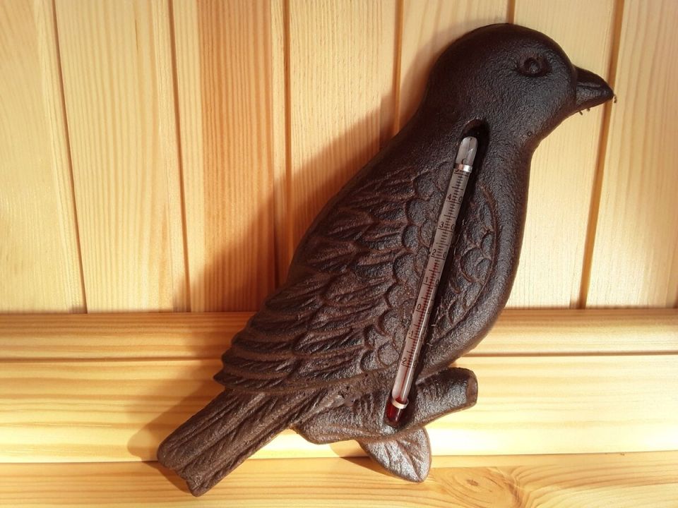 ��� ��������� ��������� ���: �� ������ �� �������