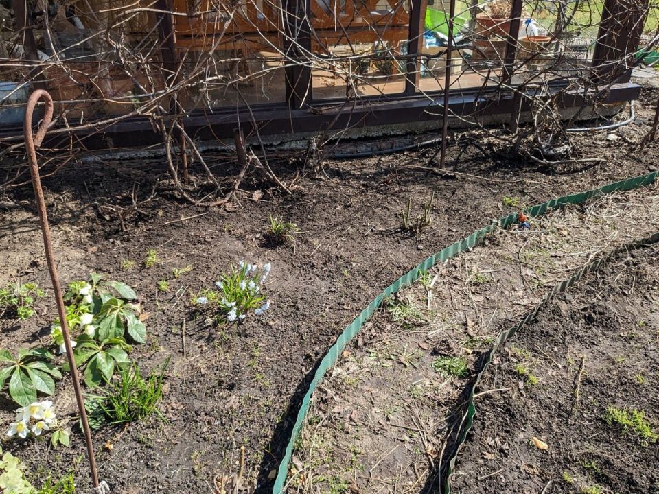 ���������� ���: ��� �������� �������� ���������� � �� �������� ������� �� �������