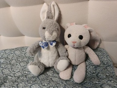 ����������� ������ ������ ����� �� ������ ������: �������� ��� ���� �����������