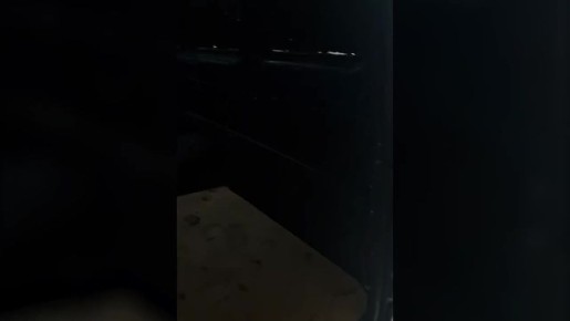 � ���������-�������� �������� ����� ��������������� ������������� ����������� ���������, �������� ���� ������ �� ���