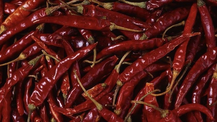 ������ ��� ��������� �����������: ������� �������� � ������������ ������