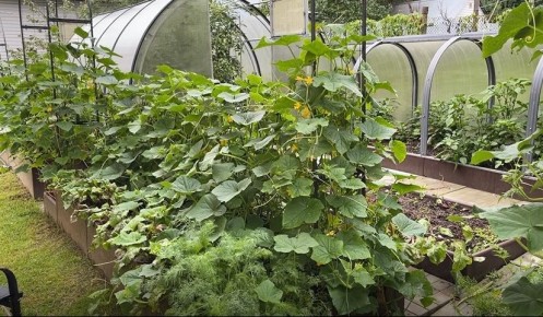 ������ ����: ��� ������ � ��� ��� �������� ������ �����?